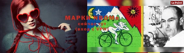 твердый Арсеньев