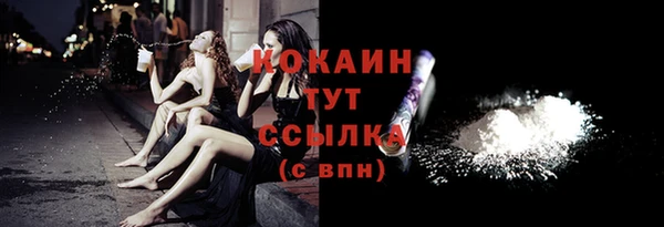 твердый Арсеньев