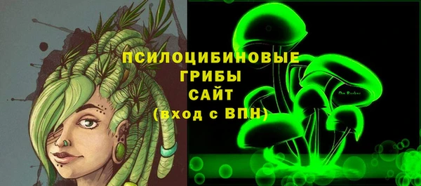 твердый Арсеньев