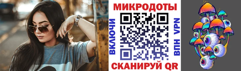 где продают   Саянск  Галлюциногенные грибы Psilocybine cubensis 