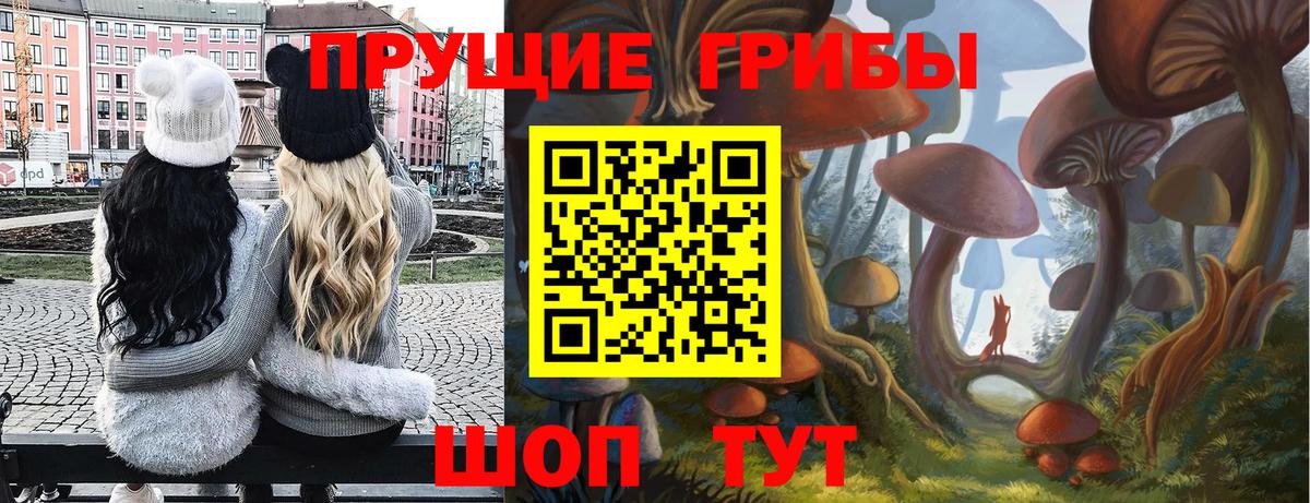 Галлюциногенные грибы мухоморы  Вход с VPN  Псилоцибиновые грибы Psilocybine cubensis  Саянск 